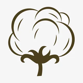 棉花花朵简笔画免抠