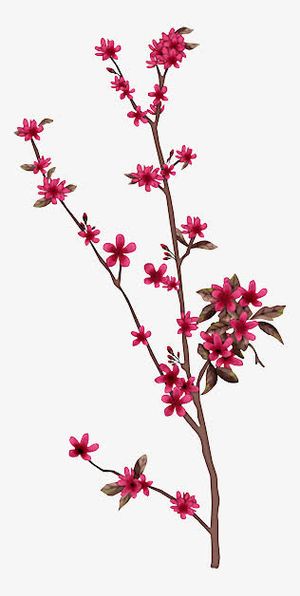 手绘花朵png素材免抠