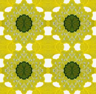 花纹图片欧式花纹图片素材免抠