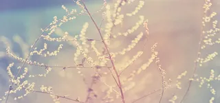 淘宝背景图高清