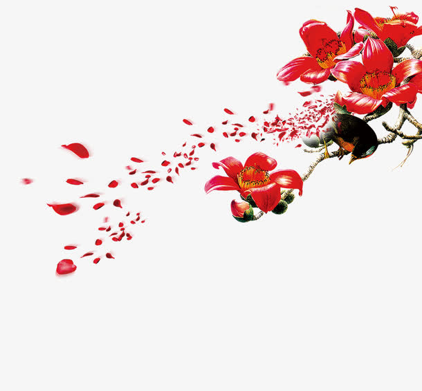 木棉花免抠素材免抠