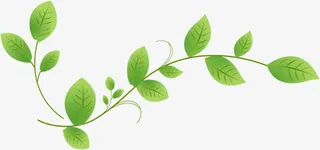 蔓延的卡通藤蔓七夕免抠