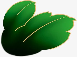 绿色渐变婚礼树叶免抠