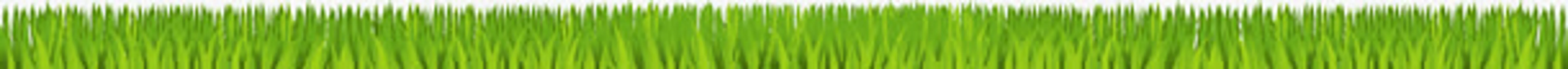 卡通春天草丛免抠