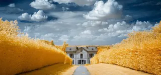 秋季背景图高清