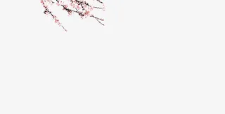 枝头梅花开花免抠