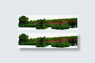 创意高清摄影花园花坛花卉免抠