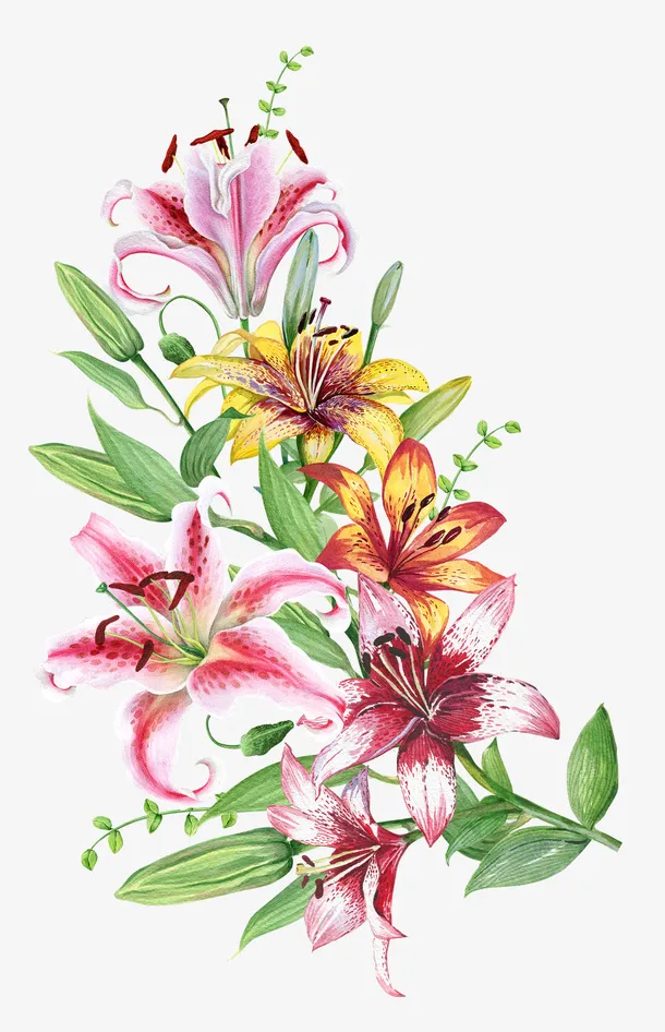 水彩创意百合花免抠图免抠