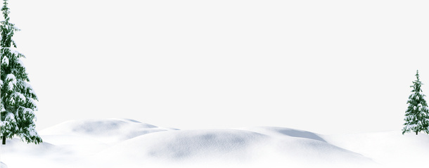 雪地上的松树免抠
