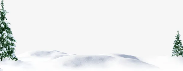 雪地上的松树免抠