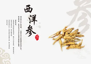 水墨 西洋参免抠