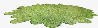创意草地免抠