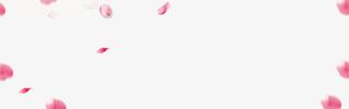 粉色手绘花瓣漂浮素材免抠