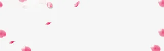 粉色手绘花瓣漂浮素材免抠