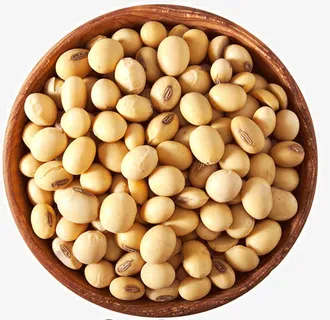 精品黄豆免抠 精品黄豆免抠