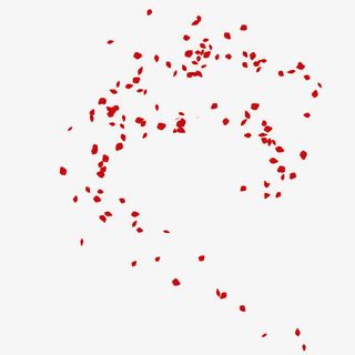 红色花瓣不规则漂浮装饰免抠