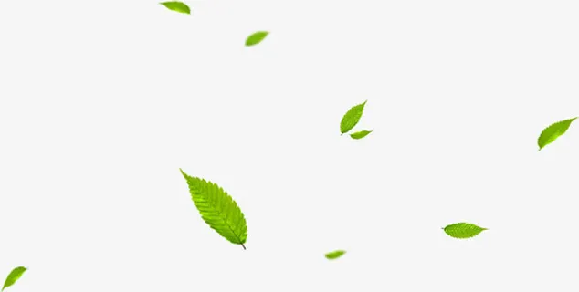 绿色唯美飘浮意境树叶免抠