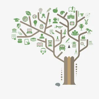 大树型分析图免抠