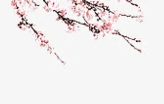 粉色手绘花枝七夕情人节免抠