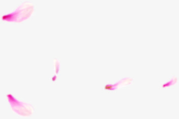 紫色漂浮散落花瓣底纹免抠