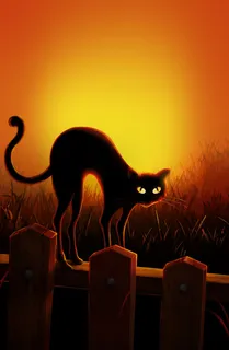 万圣节黑猫免抠