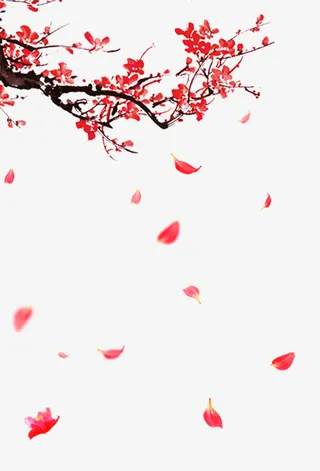 梅花装饰免抠素材免费下载免抠
