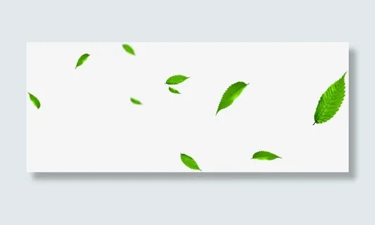 飞舞树叶美景设计免抠