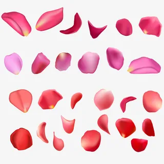 花瓣免抠漂浮花瓣元素