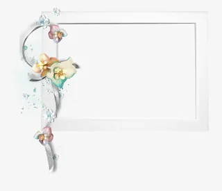 花边花纹 花边花框免抠