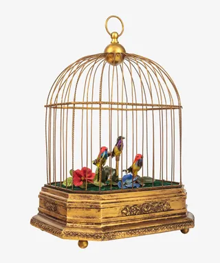 出尊养优的金丝鸟免抠