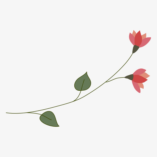 手绘小清新花卉免抠