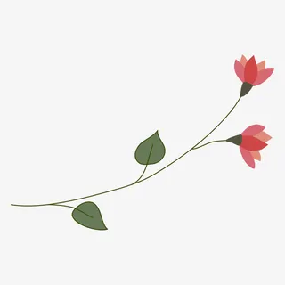 手绘小清新花卉免抠