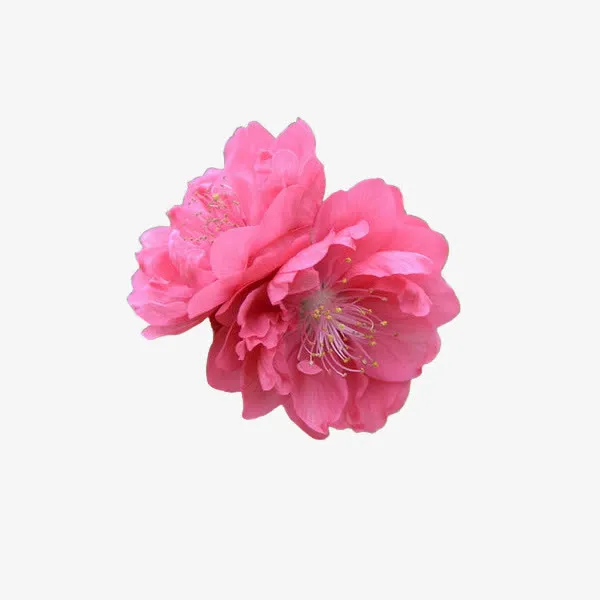 精美免抠png桃花朵朵开 单朵桃花png免抠漂浮花瓣元素