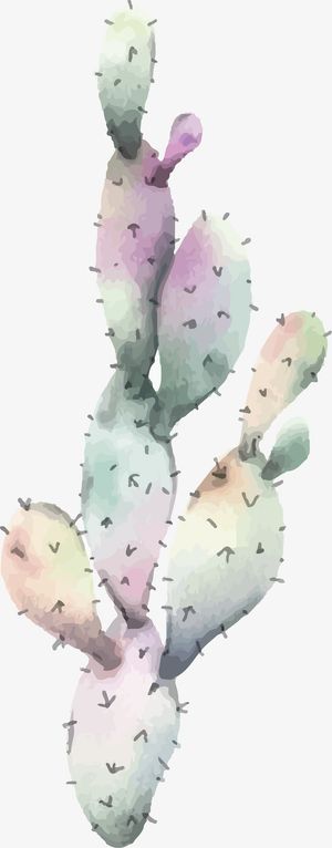 手绘仙人掌矢量图下载免抠