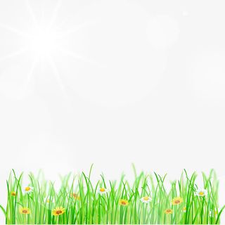 春上新小草菊花装饰素材矢量图免抠