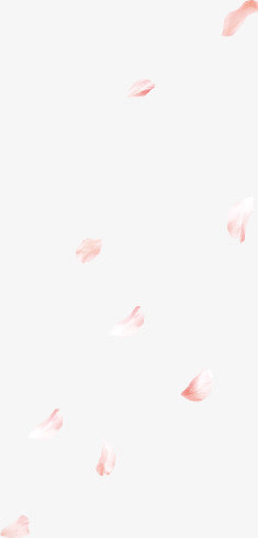 玫瑰花瓣免抠