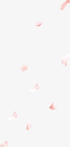 玫瑰花瓣免抠