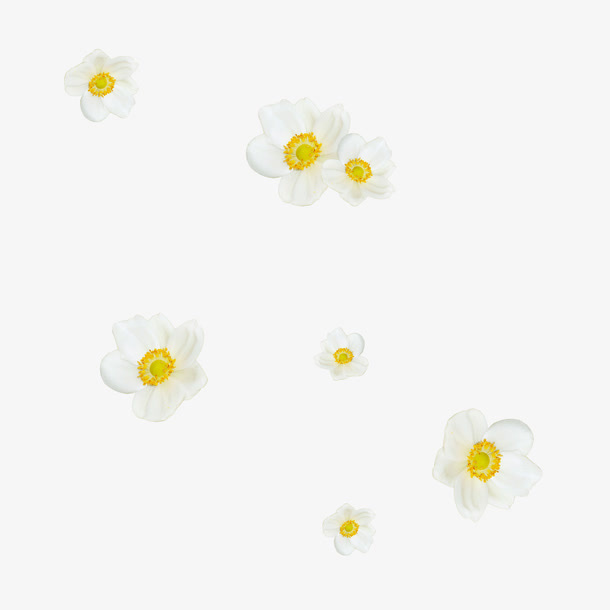 白花免抠