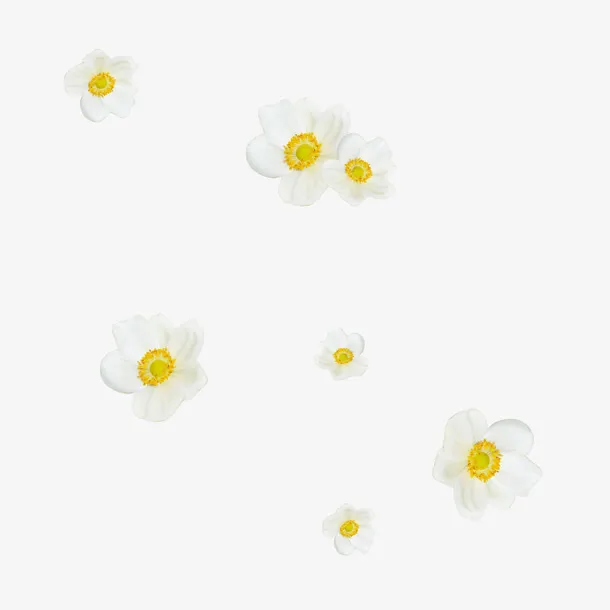 白花免抠