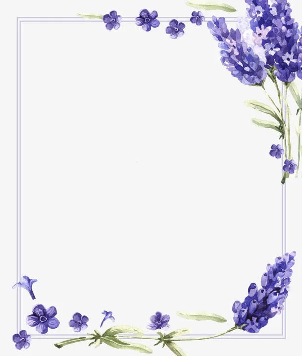 手绘紫色花纹框框免抠