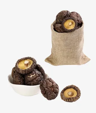 金钱菇特产干货免费下载免抠