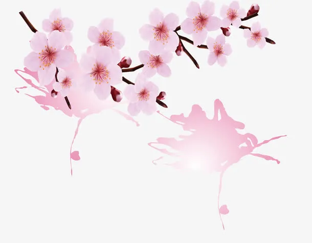飞溅涂抹樱花免抠