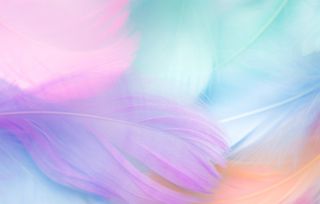 彩色背景 15高清