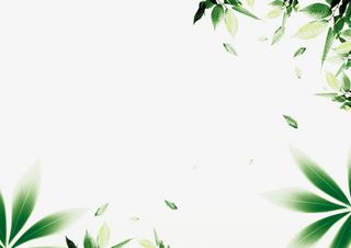 绿色树叶半包围边框免抠