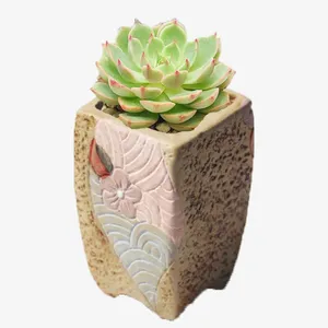 绿色多肉植物免抠