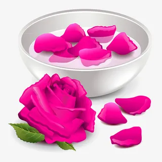 水盆里的玫瑰花瓣免抠