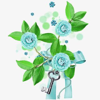 蓝玫瑰免抠