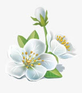 卡通红色花朵花瓣图标免抠