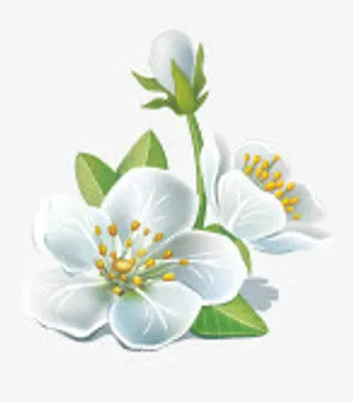 卡通红色花朵花瓣图标免抠