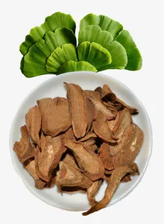 银杏叶与牛蒡茶图片素材免抠